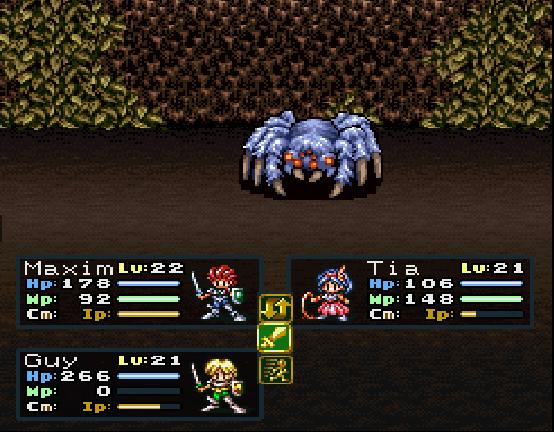 spider.jpg